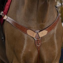 Collier de chasse western Two Tone Westride