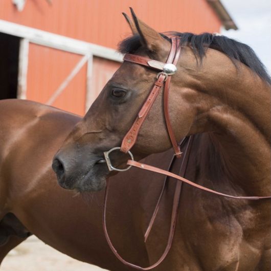 Bridon western Two Tone Westride