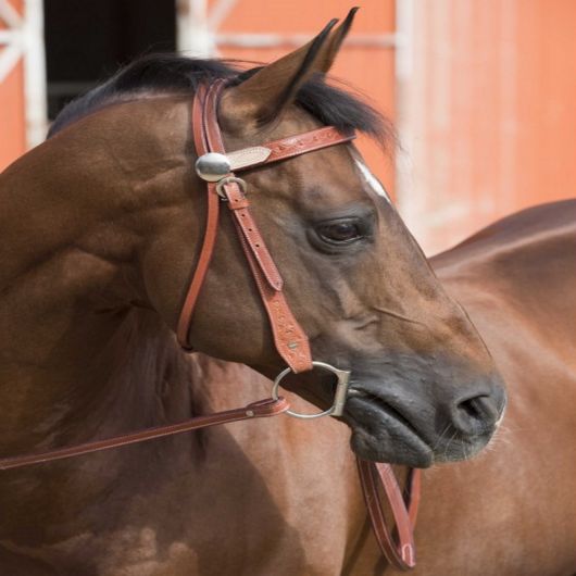 Bridon western Two Tone Westride