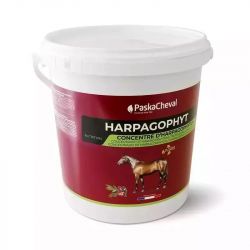 Concentré d'harpagophytum Harpagophyt Date courte - Paskacheval