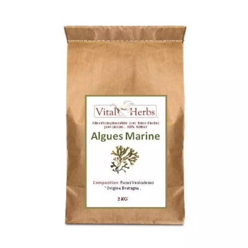 Algues marines cheval 2 kg Date courte - Vital Herbs