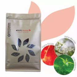 Phyto Membres - mélange plantes articulations cheval 1kgDate courte - Phyto Master