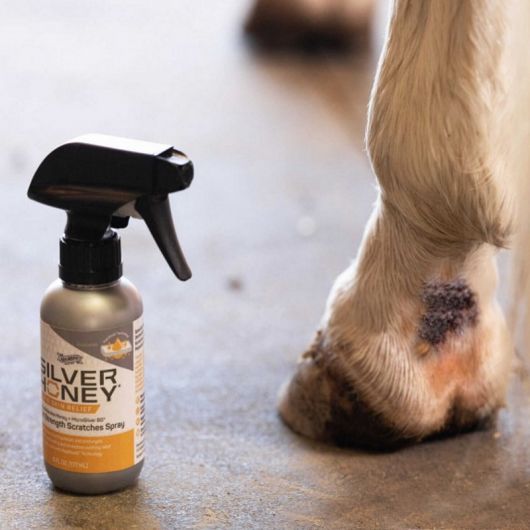 Spray gale de boue cheval Mud Defense - Absorbine 