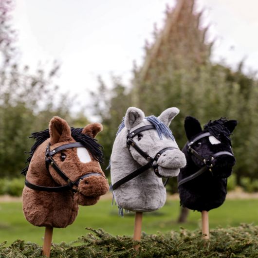 Hobby Horse - Waldhausen 