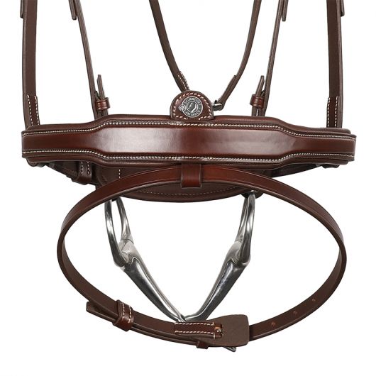 Bridon cheval cuir Signature Sport - Antarès 