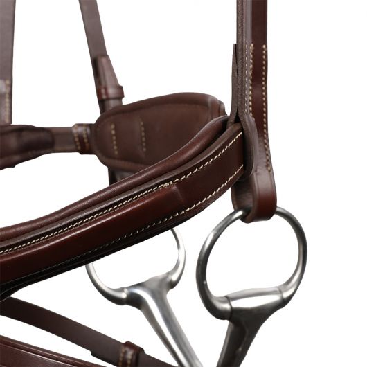 Bridon cheval cuir Signature Sport - Antarès 