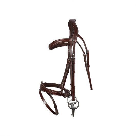 Bridon cheval cuir Signature Sport - Antarès 