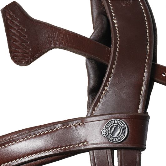 Bridon cheval cuir Signature Sport - Antarès