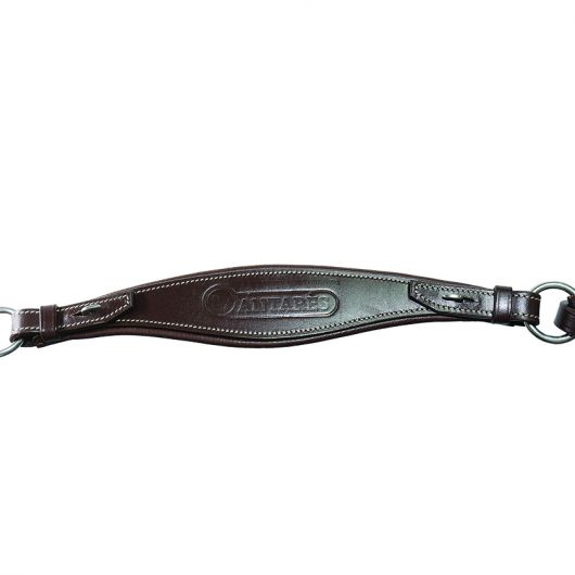 Collier de chasse cheval à pont amovible Signature - Antarès 