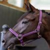 Licol et Longe cheval Amour - Harcour