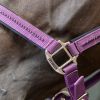 Licol et Longe cheval Amour - Harcour