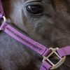 Licol et Longe cheval Amour - Harcour