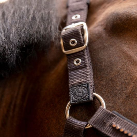 Licol et Longe cheval Amour - Harcour