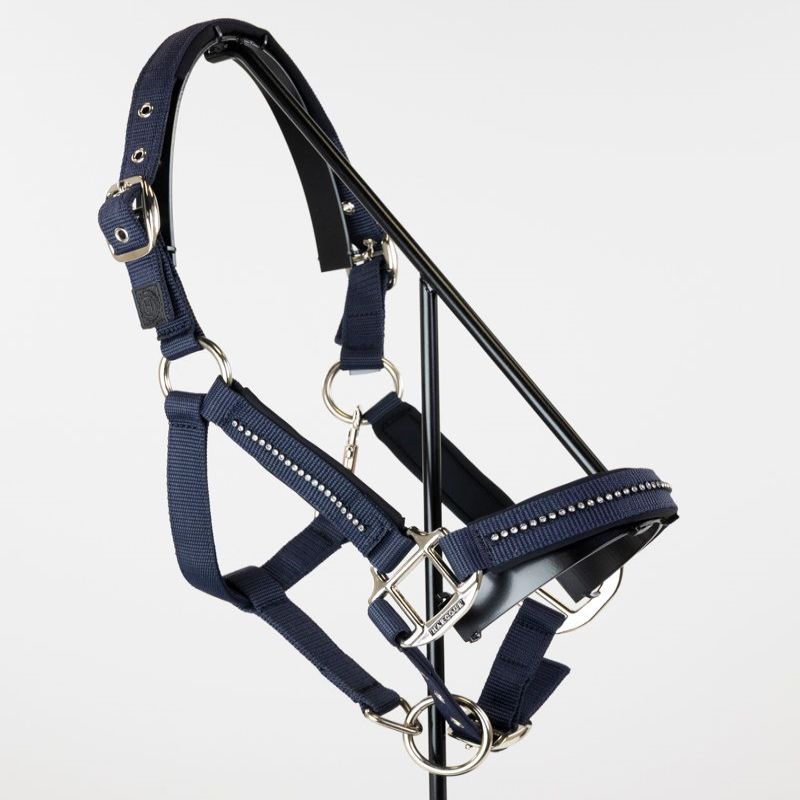 Licol et Longe cheval Amour - Harcour