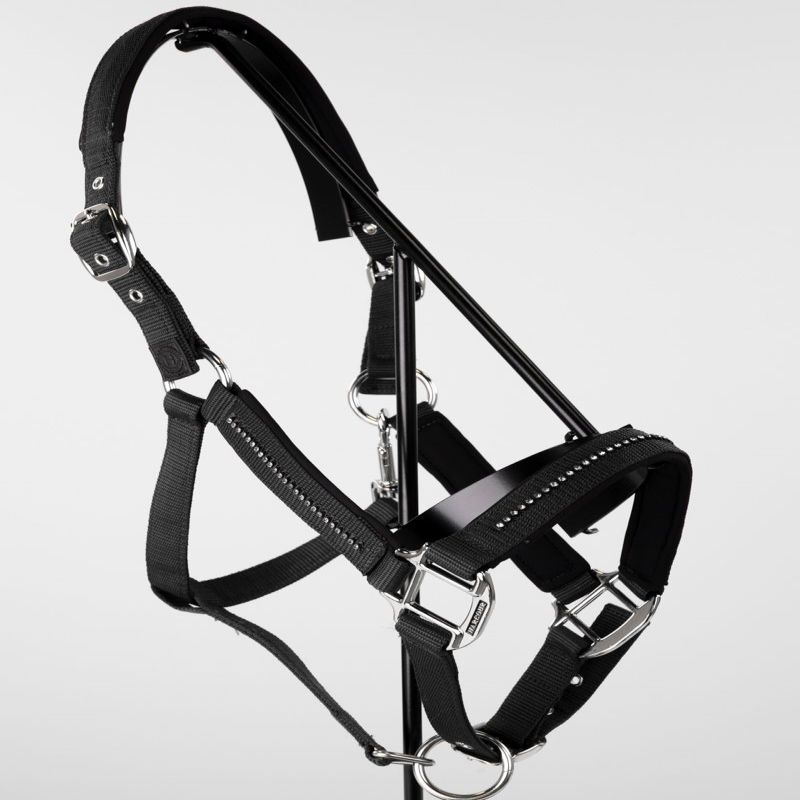 Licol et Longe cheval Amour - Harcour