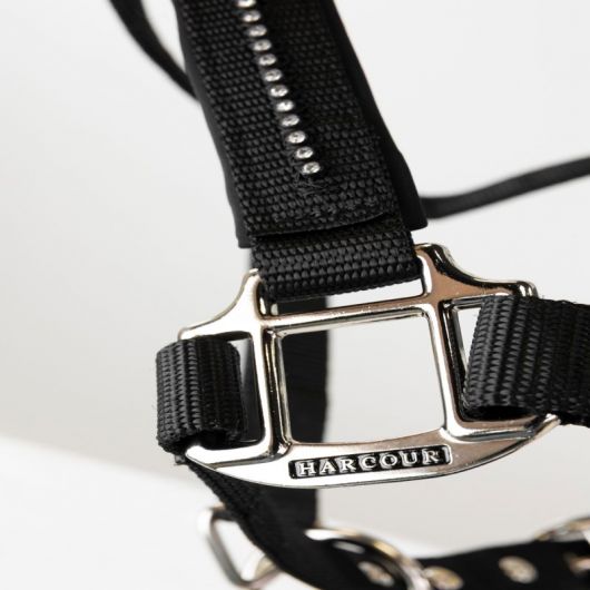 Licol et Longe cheval Amour - Harcour