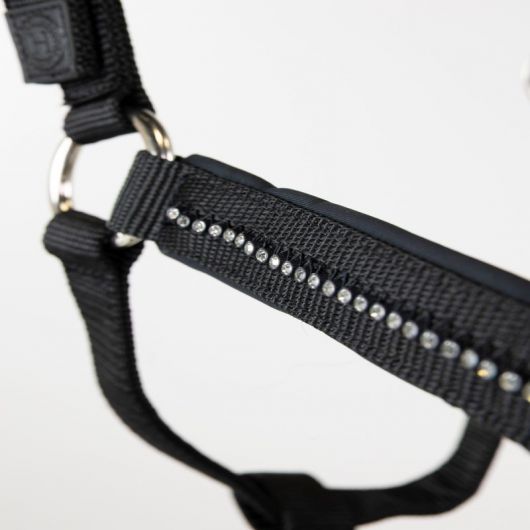 Licol et Longe cheval Amour - Harcour