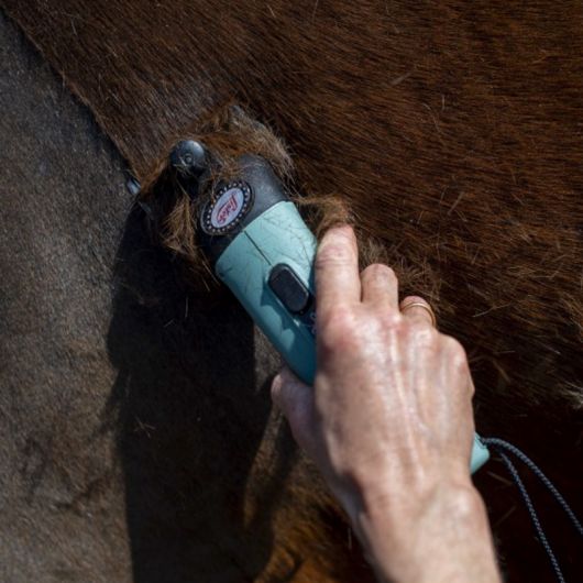 Tondeuse secteur cheval avec sacoche de rangement Star - Lister 