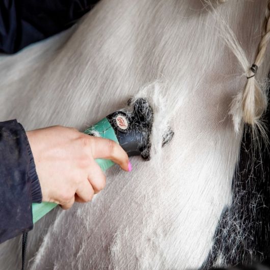 Tondeuse secteur cheval avec sacoche de rangement Star - Lister 