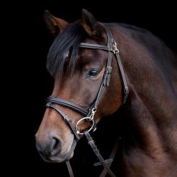 Bridon cheval Work X-Line - Waldhausen 