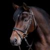 Bridon cheval Work X-Line - Waldhausen 