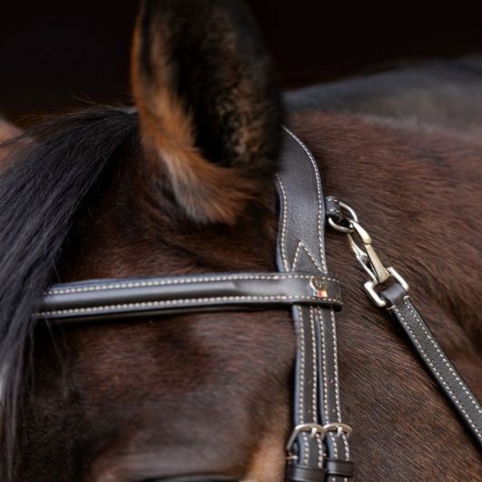 Bridon cheval Work X-Line - Waldhausen 