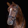 Bridon cheval Work X-Line - Waldhausen 