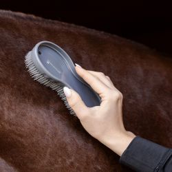 Duo de brosses cheval magique- Waldhausen 