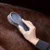 Duo de brosses cheval magique- Waldhausen 