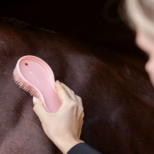 Duo de brosses cheval magique- Waldhausen 