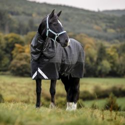 Couverture extérieur cheval réfléchissante Reflectech Plus 50g - Horseware