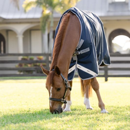 Couverture extérieur cheval Amigo 0g - Horseware
