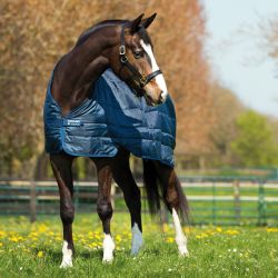Sous-couverture Liner Medium - Horseware