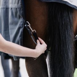 Courroies de cuisses couverture cheval - Horseware