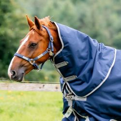 Couvre-cou imperméable cheval Amigo 1200 deniers 0g - Horseware