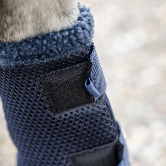 Guêtres de repos/transport cheval Show Ready - Horseware 