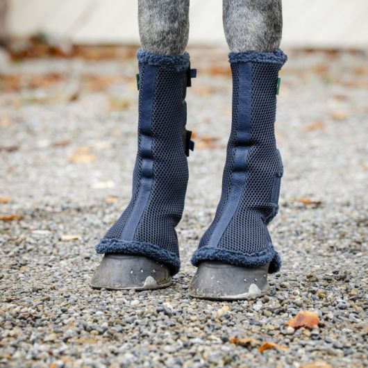 Guêtres de repos/transport cheval Show Ready - Horseware 