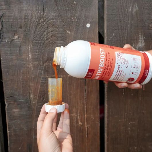 Nutri Boost - Ravene 