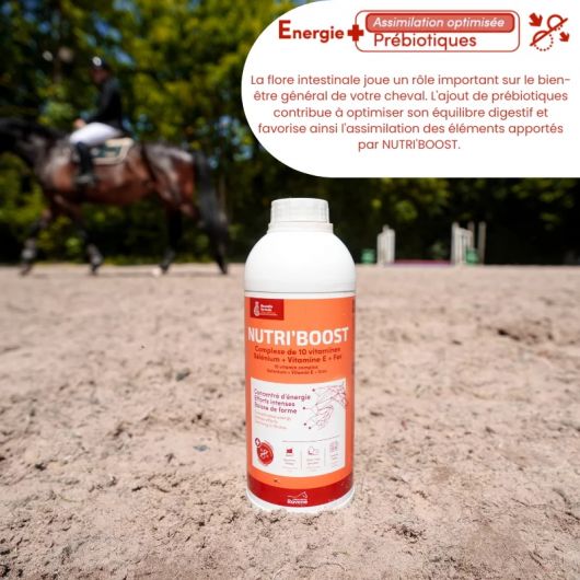 Nutri Boost - Ravene 