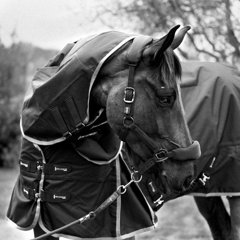 Couverture imperméable cheval Dynastie 0g - Pro-Confort Horsewear