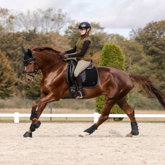 Tapis de selle cheval St Gallen - Waldhausen 