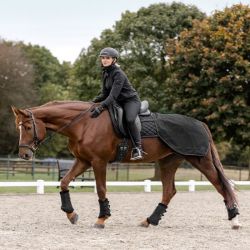 Couvre-reins carré cheval Salzburg - Waldhausen