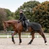 Couvre-reins carré cheval Salzburg - Waldhausen