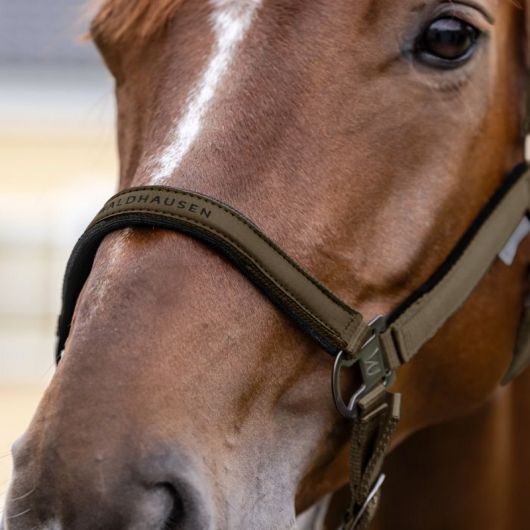 Licol nylon cheval Atheltic - Waldhausen 