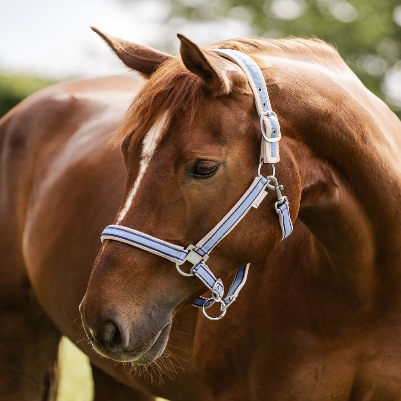 Licol nylon cheval Atheltic - Waldhausen 