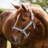 Licol nylon cheval Atheltic - Waldhausen 