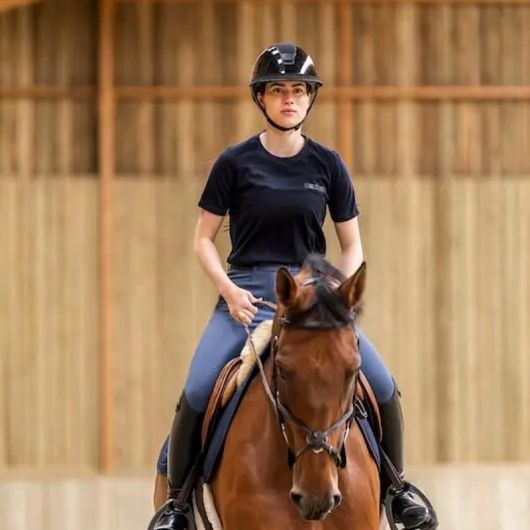 Tee-shirt équitation Hiver Femme Mérinos - Horse Pilot