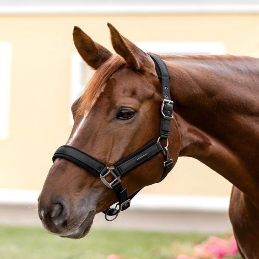 Licol cheval Soft Touch - Waldhausen Licol cheval Soft Touch - Waldhausen