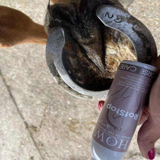 Soin fourchette cheval Rotstop - Horse Of The World 