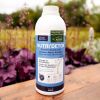Nutri Détox drainant cheval 900 ml - Ravene 